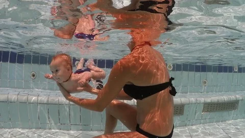 The Magic Of Life in 4K Video stock 75253436