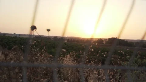 Magic light cage Stock Footage 156595193