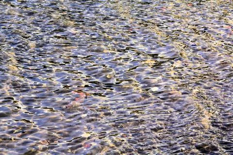 Magic light draws on water Stock Photos