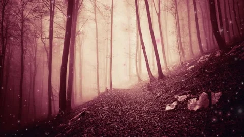 Magic light in forest with fireflies 動画素材 231635145