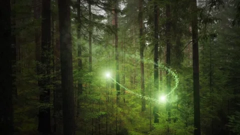 Magic light particles inside fairy green forest landscape Stock Footage 337736670