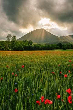 Magic Light Stock Photos