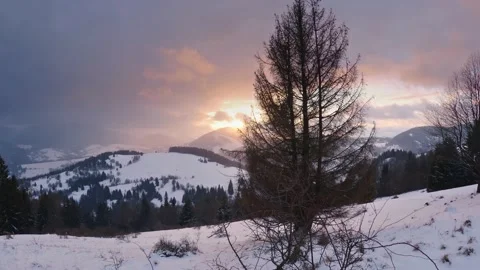 Magic light of Sunrise in winter forest nature landscape with fresh snow falls Stock Footage 235369829