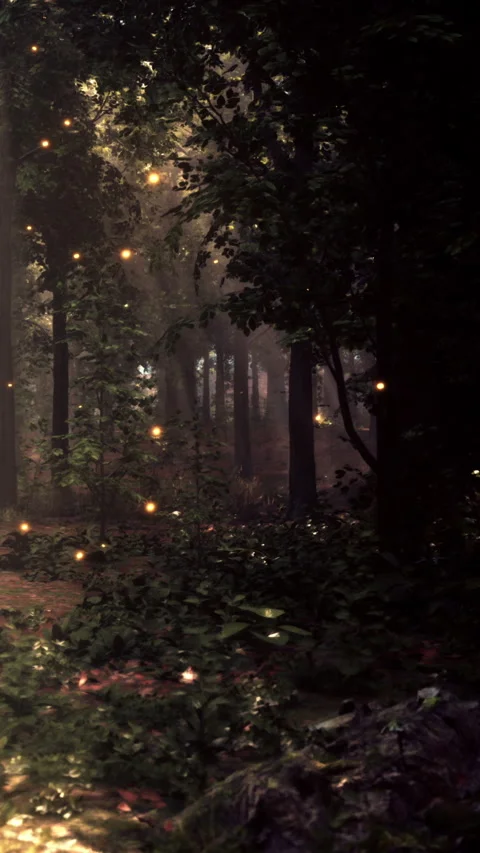 Magic lights fill the forest path at dusk with glowing orbs above the ground Stock Footage 342183920