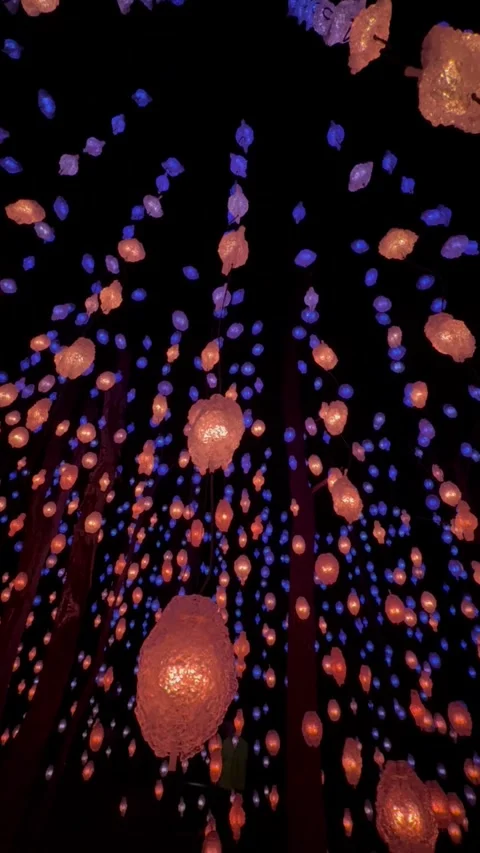 Magic lights in the forest by night Stock Footage 303426957