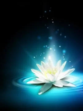 Magic lily Stock Illustration