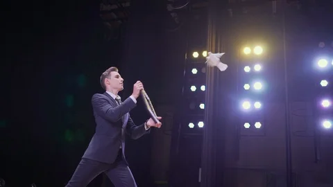 Magic man show trick with white dove at red curtain background in circus. Video stock 96329668