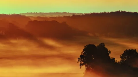 Magic morning Video stock 263141596