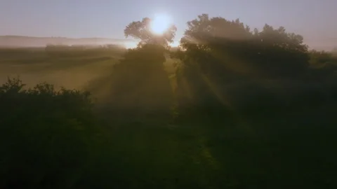 Magic morning Stock Footage 263142791