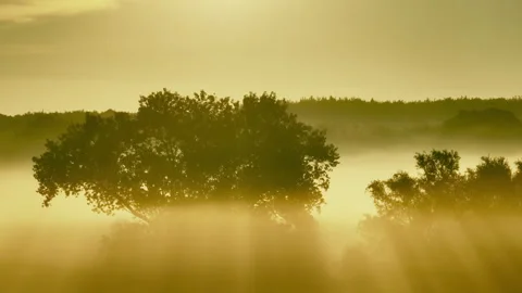 Magic morning Video stock 263144622