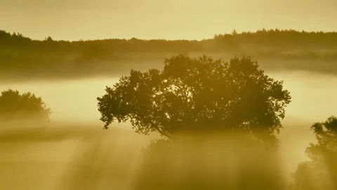 Magic morning Video stock 263146548