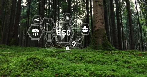 Magic mossy forest landscape with ESG icons animation Stock Footage 341901091