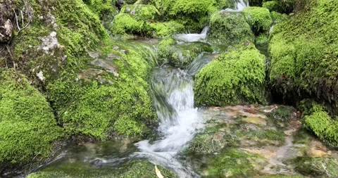 Magic mossy rocks with stream Vídeo Stock 231910348