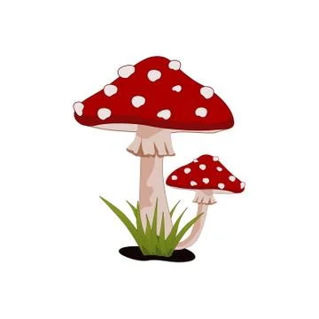 Magic Mushroom Amanita Muscaria Fly Agaric Stock Illustration