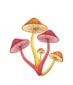 Magic mushroom bunch isolated on white background. Neon red glowing toadstool Stock Illustration