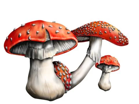 Magic mushroom Illustrazione stock