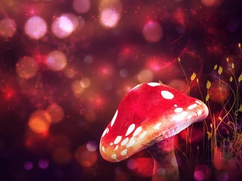 Magic mushroom Illustrazione stock