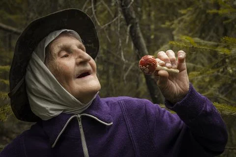 Magic mushroom Stock Photos