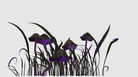 Magic mushrooms move in the wind among the grass Stock-Footage 309416590