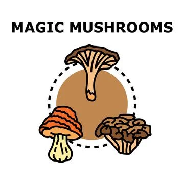 Magic mushrooms vector icon set illustration Stockillustratie