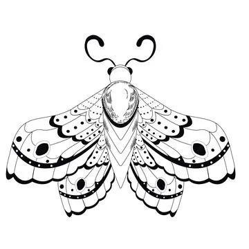 Magic mystic moth in doodle style, line art isolated, boho celestial esoteric Stockillustratie