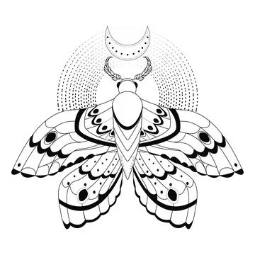 Magic mystic moth in doodle style, line art isolated, boho celestial esoteric Stockillustratie