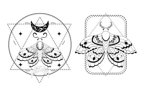 Magic mystic moth in doodle style, line art isolated, boho celestial esoteric Stockillustratie