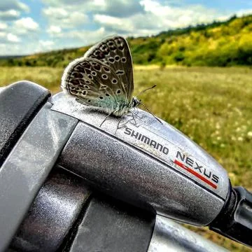The magic of nature Stock Photos