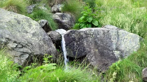 The magic of nature. A small waterfall in the Central Balkan National Park Stock Footage 206415424