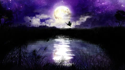 Magic Night over the pond 100% loop HD1080p Stock Footage