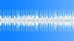 MAGIC ORGANS LOOP 0.42 Stock Music