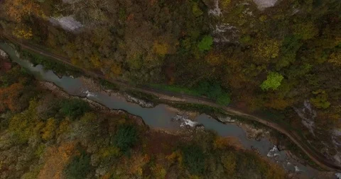 Magic panorama view with forest and autumn trees in Guam gorge "Guamka", North C Video stock 100087560