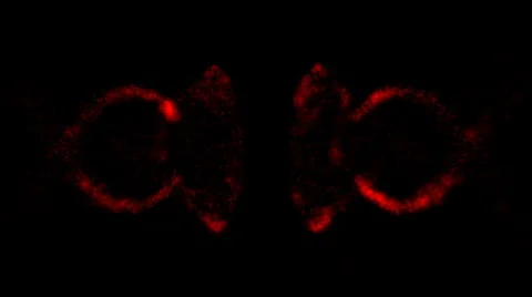 Magic Particles - Motion Background 68 (HD) Stock Footage 1214551