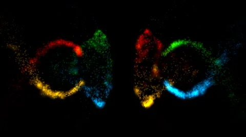 Magic Particles - Motion Background 71 (HD) Stock Footage 1215740