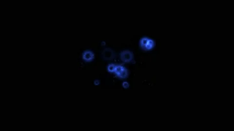 Magic particles motion graphics with night background Stock Footage 150651721