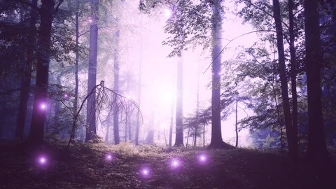 Magic pink firefly lights in misty forest Video stock 124655408