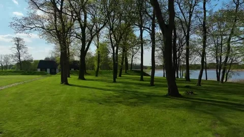 Magic place, magic forest and lake Stock Footage 240858559