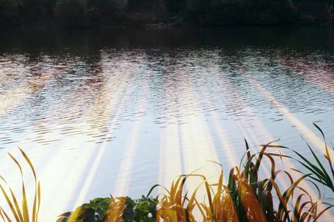 Magic pond. Composition of a pond and rays Foto stock