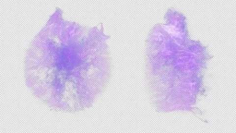 Magic Portal. Stock Footage 242114805