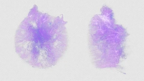 Magic Portal. Stock Footage 242119891