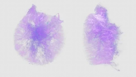 Magic Portal. Stock Footage 243102230