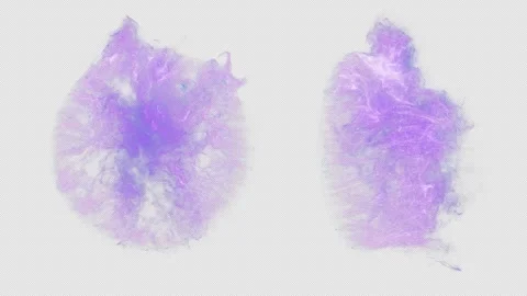 Magic Portal. Stock Footage 243122285