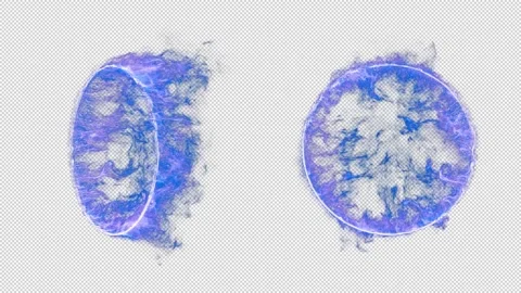 Magic Portal. Stock Footage 306975257