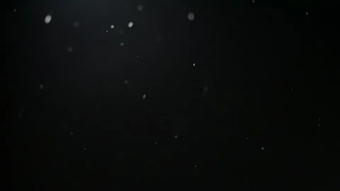 Magic rain particles fly in a beautiful contour light Stock Footage 255127857