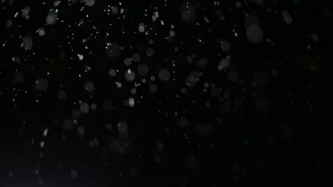 Magic rain particles fly in a beautiful contour light Stock Footage 255127920