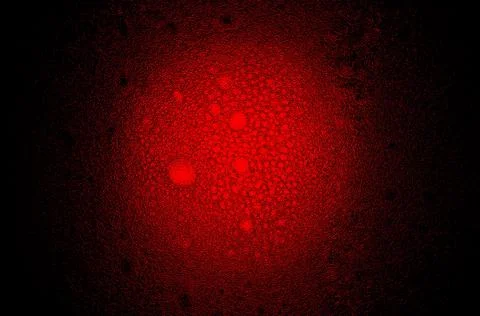 Magic red 3d ball in space 5 Stock Illustration