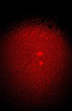 Magic red 3d ball in space 12 Stock Illustration