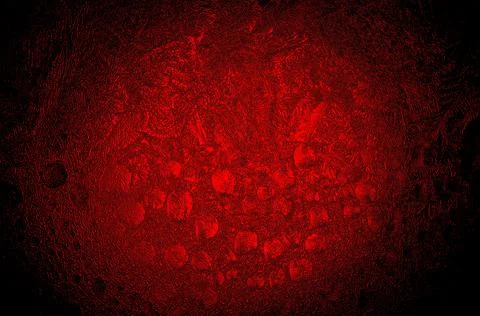 Magic red 3d ball in space 16 Stock Illustration