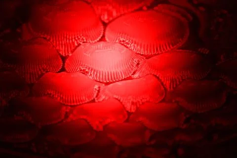 Magic red light over cell surface, unknown science. Stock Illustration