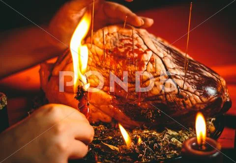 Magic ritual with bovine heart Stock Photos